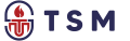 تیوان صنعت معین